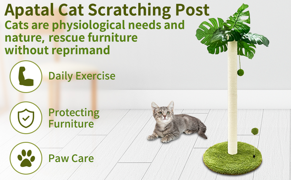 35" Tall Cat Scratching Post, Apatal Cat Scratcher Tree
