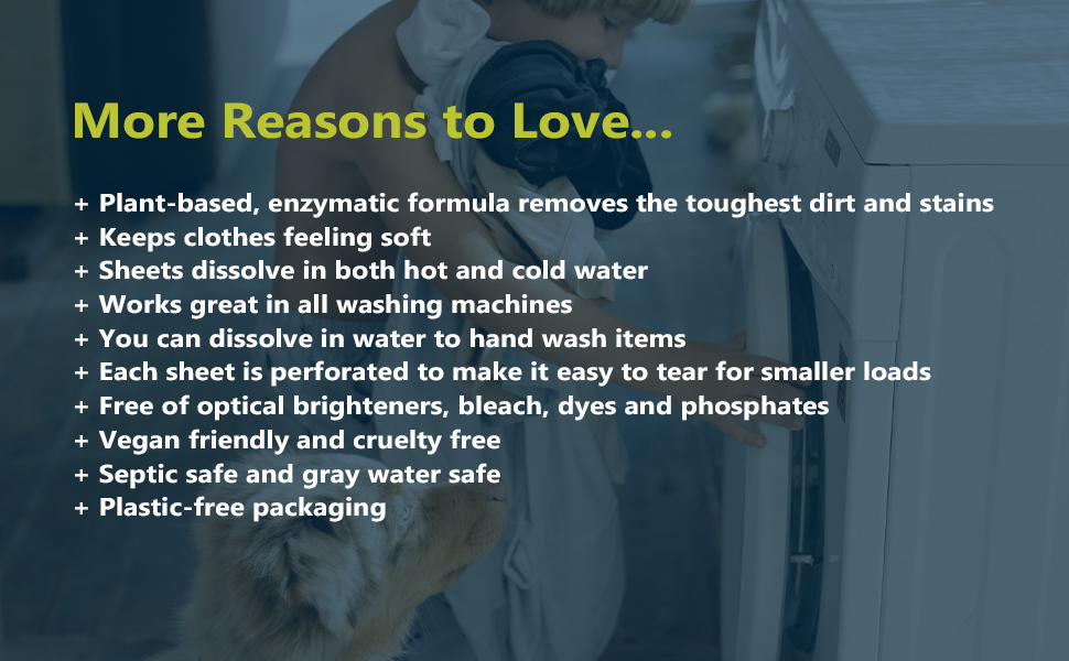 Boulder Clean Laundry Detergent Sheets, Forest Pine Scent