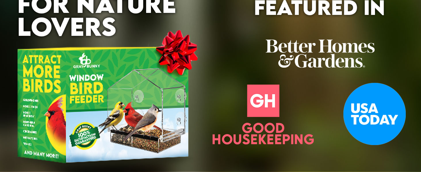 B07HRX1J5R_House-Window-Bird-Feeder_