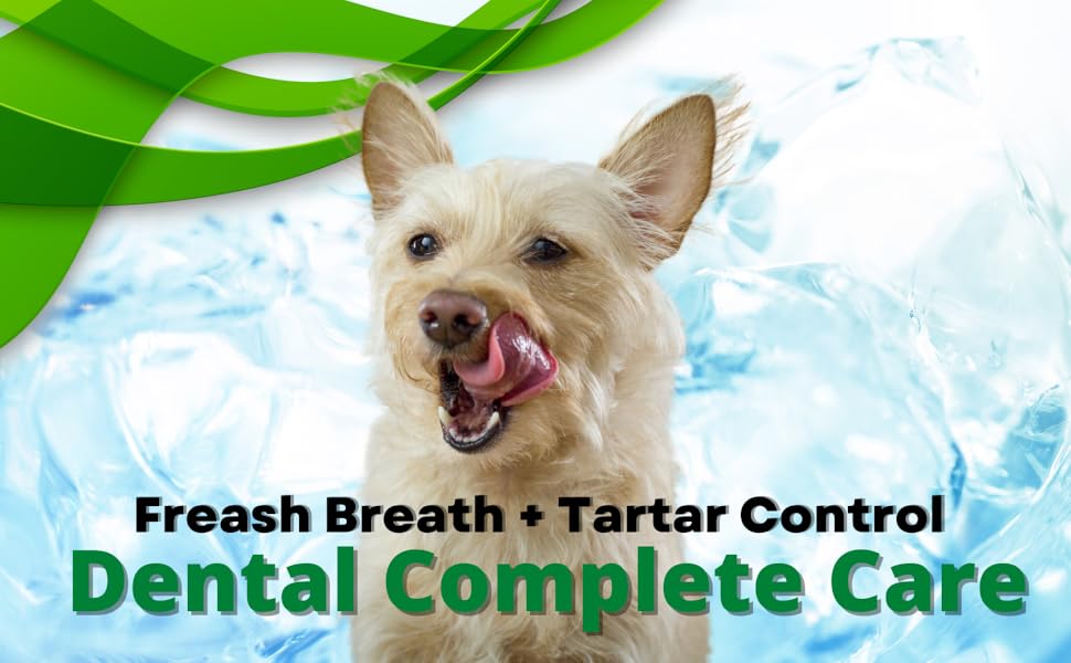 Foodie Puppies Cool Mint Toothpaste and Toothbrush Combo for Dogs