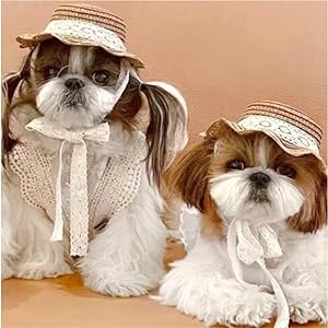 麦わら帽子Ꮮお好みカラー✗ホワイト犬・猫 プルメリア装飾❁handmade 麦わら帽子Ꮇお好みカラー✗ホワイト犬・猫 プルメリア装飾