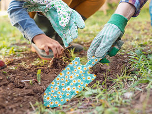 greenhouse accessories