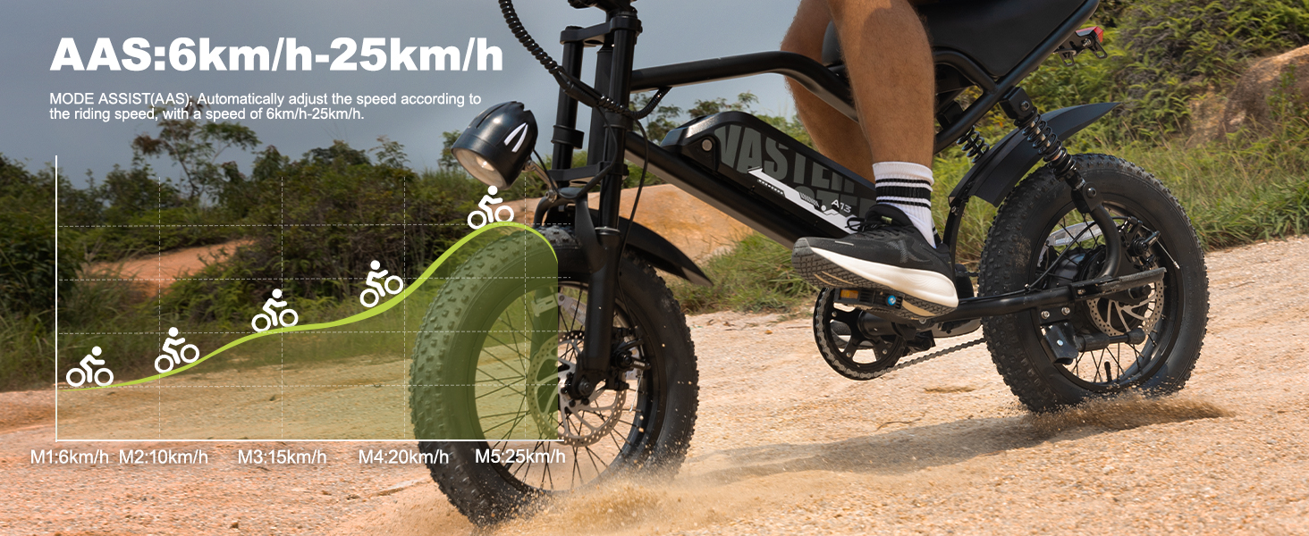 ebike