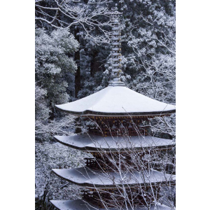本能寺カレンセット　72枚 楽天市場】木製将棋セット 新桂7号折将棋盤セット 駒にやさしい