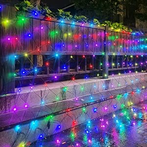 Colorful Christmas Light