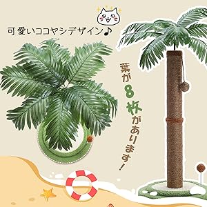 【ヤシの木】 楽天市場】ヤシの木 【ハイブリッドワシントン】 2号ポット苗