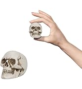 READAEER Resin Skull, Mini Skull Model for Home Decoration, Halloween Skull Statue, Human Skull H...