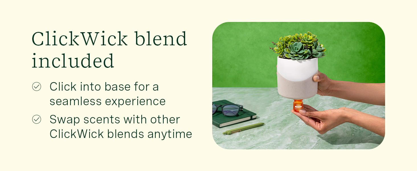 breathing extractor naturalizer sleeping clearance womens desk decor aromas inhalers decongestant