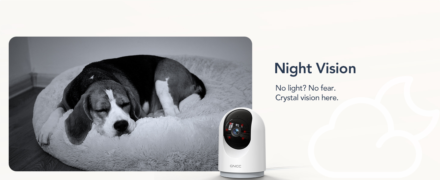 Security Camera