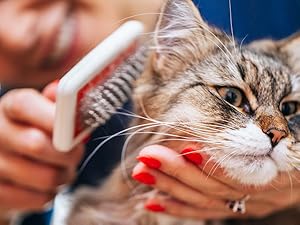 Small manufacture image 2