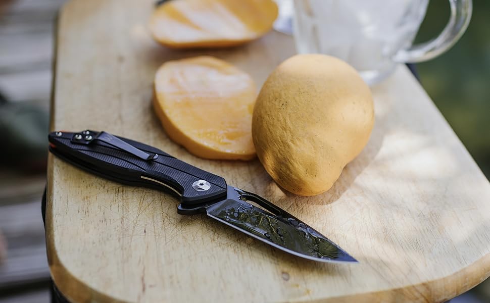 Remi‘* Amazon.com: Williams Knife Co. RX Flipper CPM154 Steel