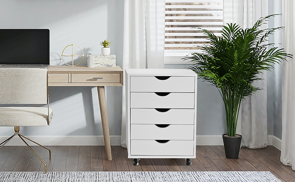 5-Drawer File Cabinet