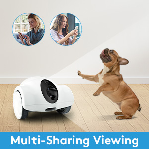 dog camera