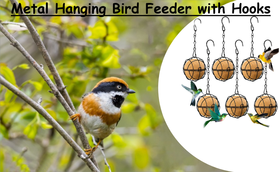 Hanging Bird Feeders With Metal Hooks, Set Of 6 Fat Ball Feeders