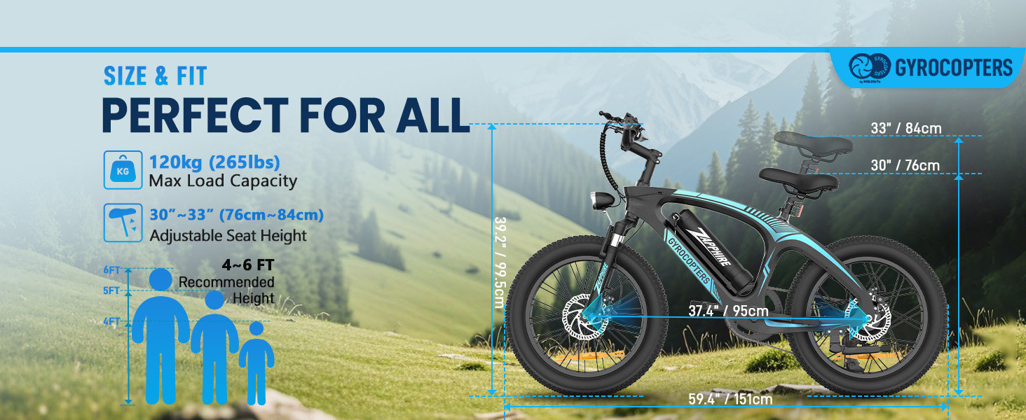 Zapphire Electric Bike
