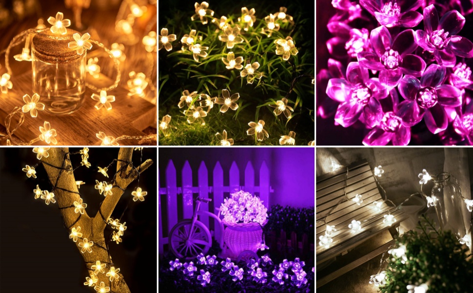 Clearhill Fairy Lights. 