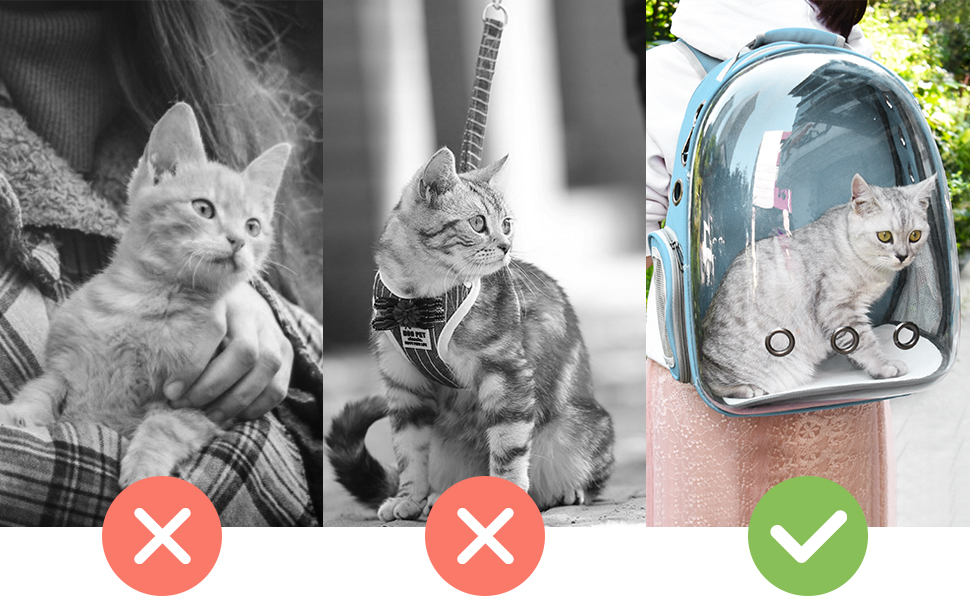 Bubble cat backpack is superior in materials