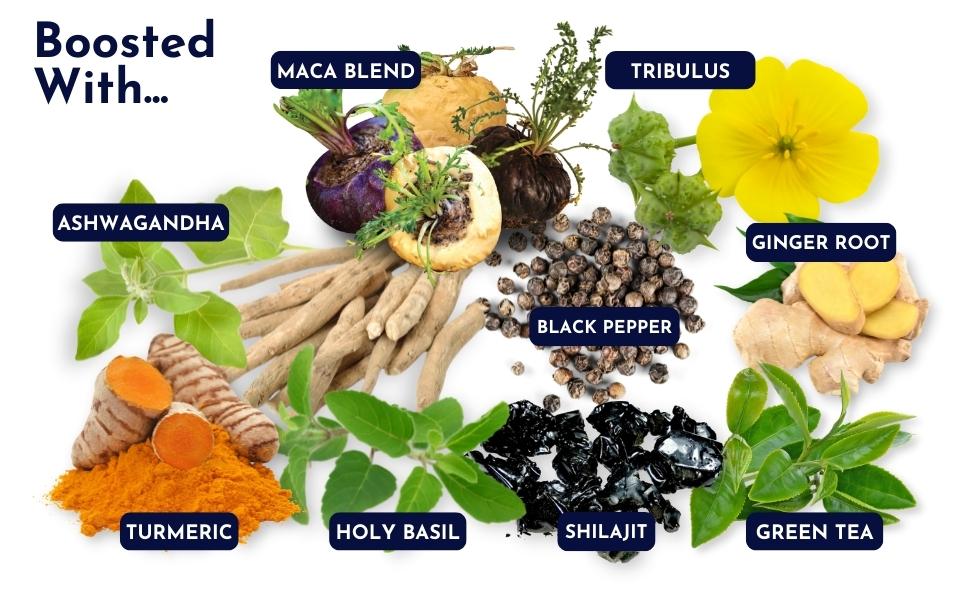 Saw Palmetto, Maca, Tribulus, Ashwagandha, Turmeric, Shilajit, Ginger, Green Tea, Holy Basil