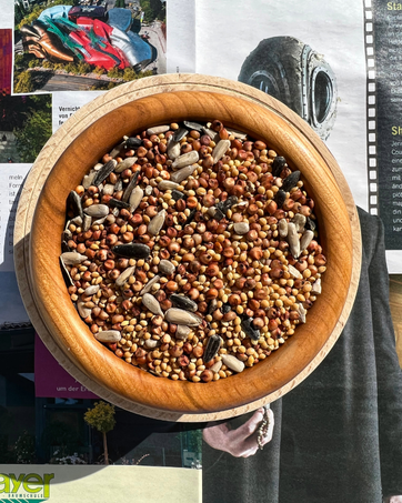 Holzschale gefüllt mit gemischtem Vogelfutter, das verschiedene Körner und größere Samen enthält und Nahaufnahmen der Texturdetails der Futtermischung zeigt.
