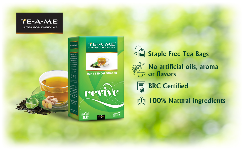 TEAME Mint Lemon Ginger Green Tea Bags 25 Pieces Revive with Zesty