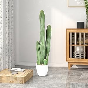 Amazon｜人工観葉植物 サボテン フェイクグリーン 78CM 造花