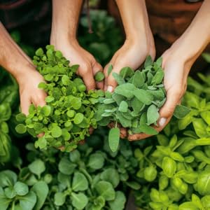 hochwertige Rohstoffe direkt vom Erzeuger