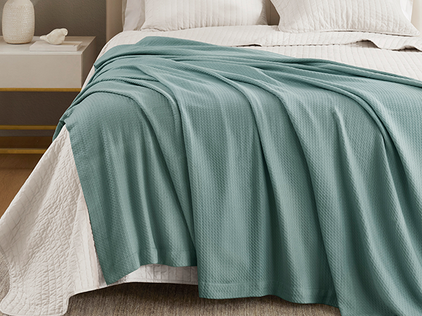 Amazon.com: Madison Park 100% Egyptian Cotton Lightweight Summer
