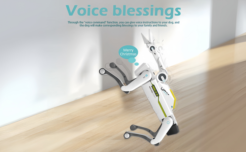 voice blessing