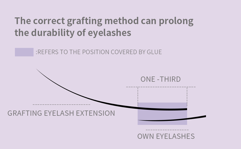 Pointy Base Premade Fans Eyelash Extension
