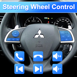 Steering Wheel Control