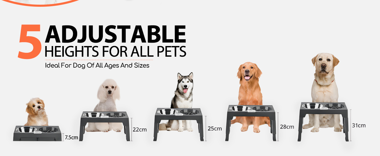 con 5 niveles de altura ajustables, que muestra plataformas ascendentes de 7 cm a 45 cm, demostrada con perros de diferentes tamaños