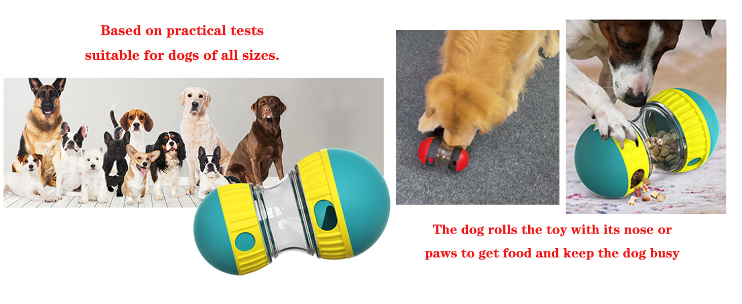 interactive dog toys