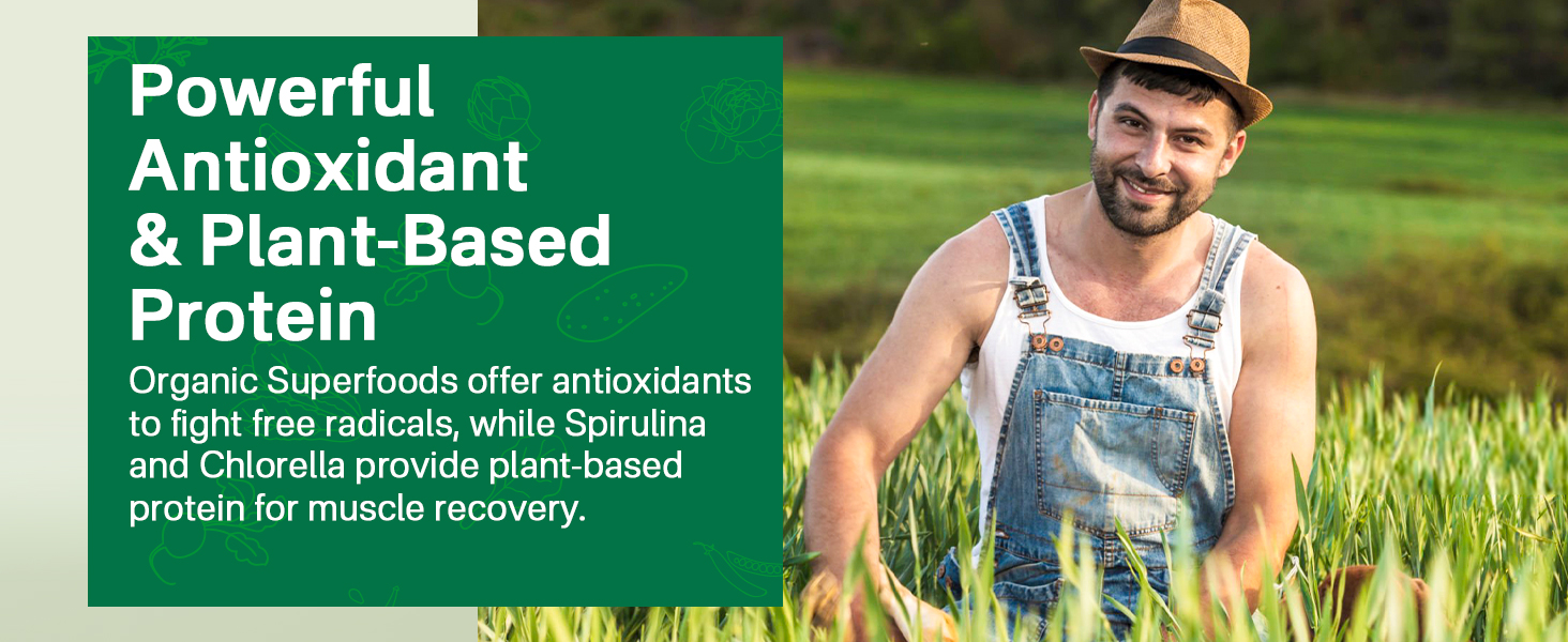 methylated B12 for vegans