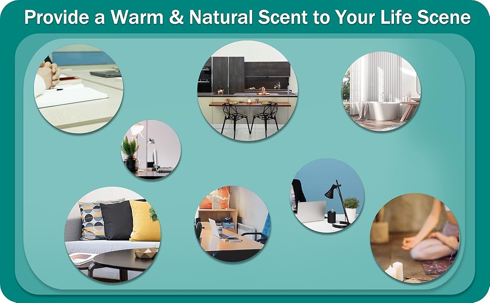 Binca Vidou Reed Diffuser Set of 3, Lavender Rose Vanilla Oil Reed Diffusers for