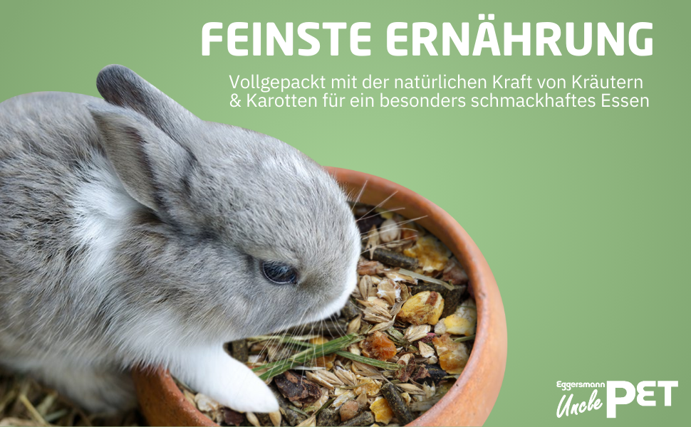 Graues Kaninchen frisst aus einer Schüssel mit gemischten Samen und Gemüse. Der obige Text auf Deutsch beschreibt eine gute Ernährung für Haustiere.