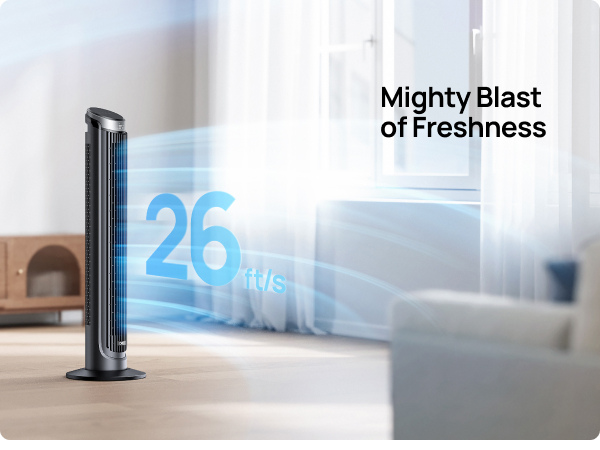 Dreo BLAST FRESHNESS WIND