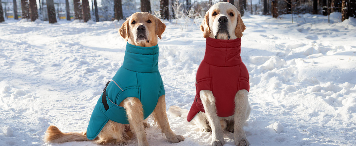 Queenmore XL Dog Coat, Winter Dog Jacket for Large Dogs