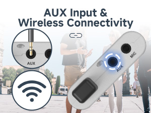 AUX Input & Wireless Connectivity