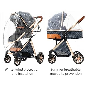 Amazon.com : 2 in 1 Baby Stroller, Convertible Pram