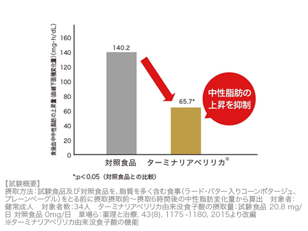 徳用ダーミナリアファースト360×1 、120×1 ケース付き Amazon | ターミナリアファースト 4 (機能性表示食品 / 120粒×1