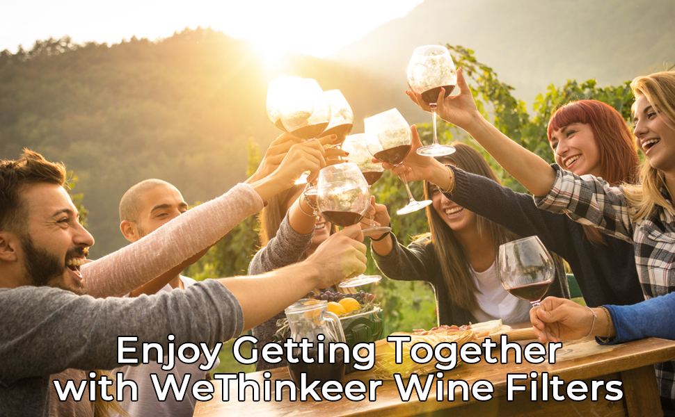 WeThinkeer Wine Filters (48 Packs) Remove Sulfites, Histamine and Tannin Stops