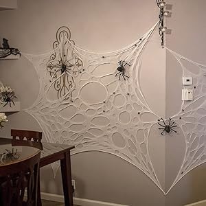 spiderwebs