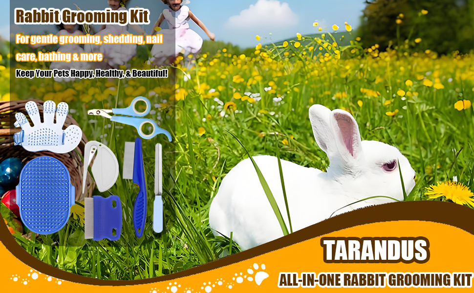 rabbit grooming kit