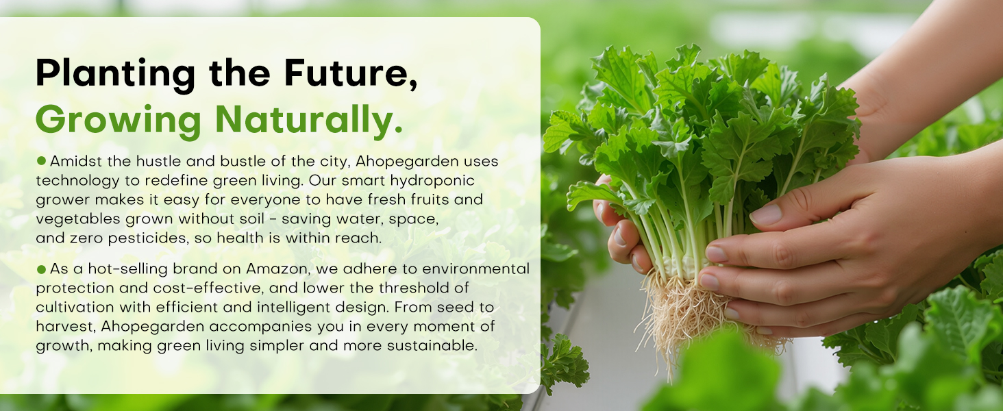 Large manufacture image 6