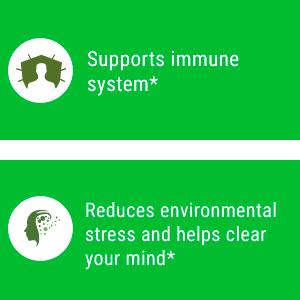 Sayan Siberian Wild Forest Chaga Mushroom Extract Powder and Betulin Birch Bark Extract, 2 Oz (56 g) Antioxidant Tea for Immune 28 imune support