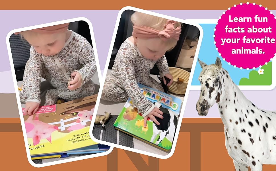 little hippo books touch and feel with sound farm animals