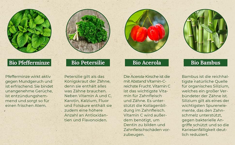 Bio Pfefferminz, Bio Petersilie, Bio Acerola, Bio Bambus