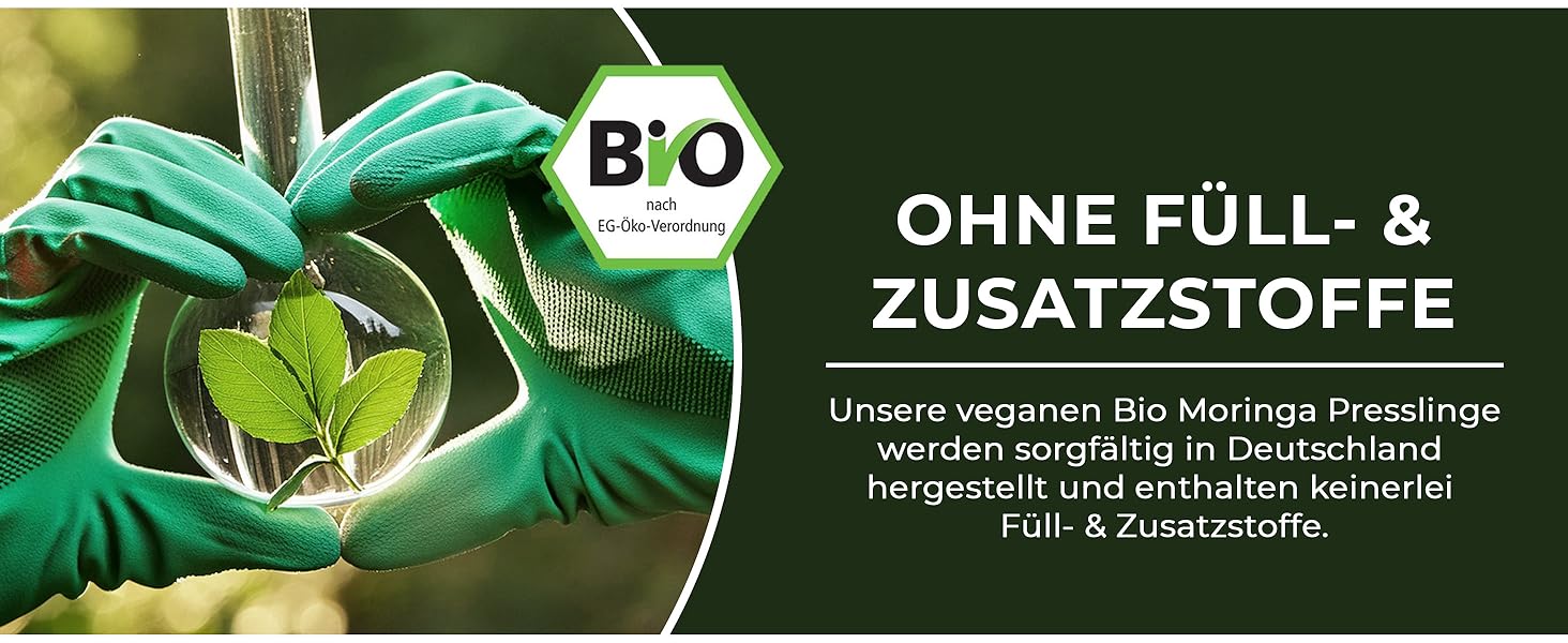 Bio Morina Tabletten hochdosiert