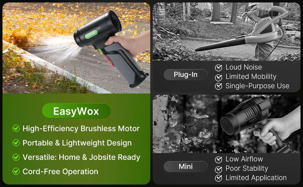 Leaf Blower Car Dryer