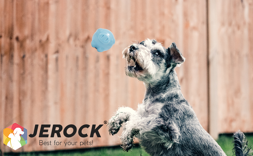 JEROCK Squeaky Dog Balls, Dog Squeaky Toy Ball for Small